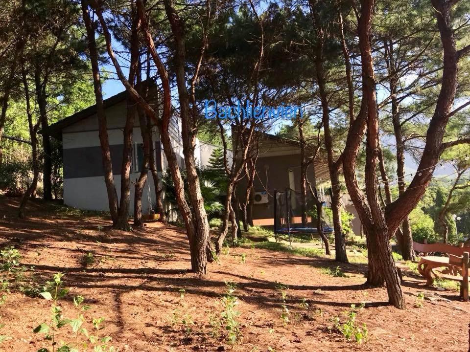 Bachlien Pine Forest Villa Ханой Екстериор снимка